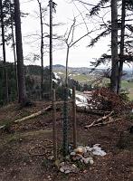                                 13. März 2011 - ein wolkiger Sonntag bei Samuel

